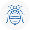 Bed Bug Extermination In Ruddington